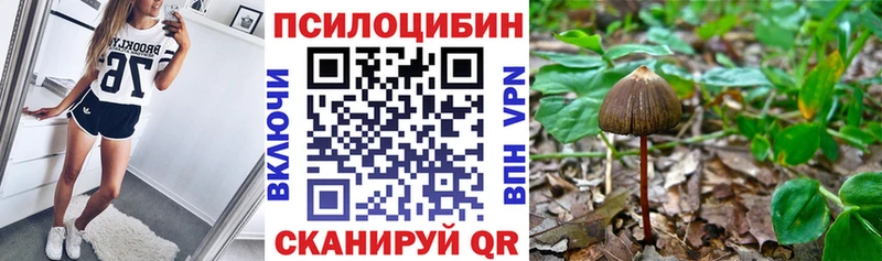 Псилоцибиновые грибы MAGIC MUSHROOMS  Кингисепп 